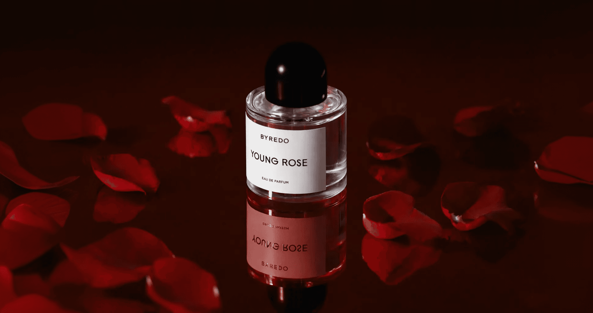 Petals and fragrance atmosphere